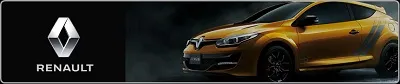 Renaultのコーティング