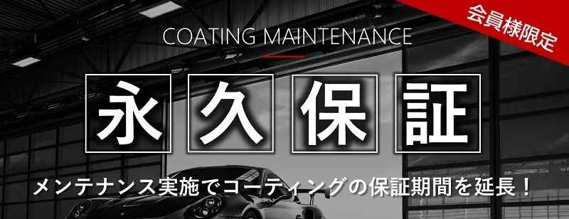 NASIOL ZR53 のメンテナンス